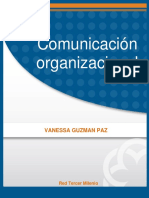 Comunicacion - Organizacional - Vannesa Guzmán P PDF