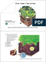 Suelos. Lec 6 PDF