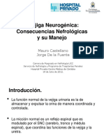 Vegiga_Neurogenica_Consecuencias_Nefrologicas_y_su_Manejo.pdf