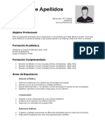 Curriculum Vitae Funcional