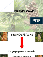 Gimnosperma e Angiosperma