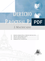 DPPC PDF