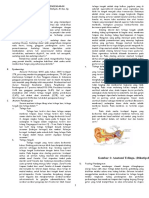 Referat Habilitasi Dan Rehabilitasi Gangguan Pendengaran.