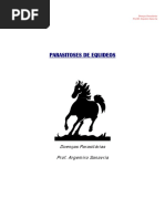 4_Parasitoses_de_equinos(1)