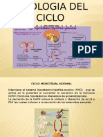 Fisiologia Del Ciclo Menstrual