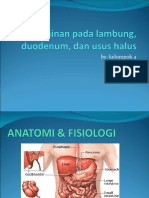 Presentasi Lambung AKHIR