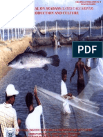 Download Training Manual on Sea Bass Lates Calcarifer Culture by fdlab SN35697051 doc pdf