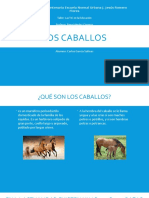 Los Caballos