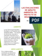 S-1evaluaciones de Impacto Ambiental en Proyecto de Desarrollo16