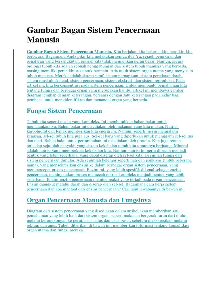 Gambar Bagan Sistem Pencernaan Manusia | PDF