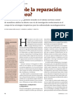 Reparacion Del Cerebro PDF