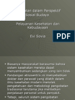 Pelayanan Kesehatan Dan Kebudayaan