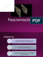 Feocromocitomas: características, diagnóstico y tratamiento