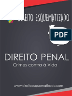 DIREITO ESQUEMATIZADO.pdf