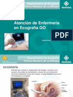 Modelo PPT Alemana Eco