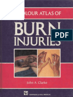 Colour Atlas of Burn Injuries-CHAPMAN & HALL MEDICAL PDF