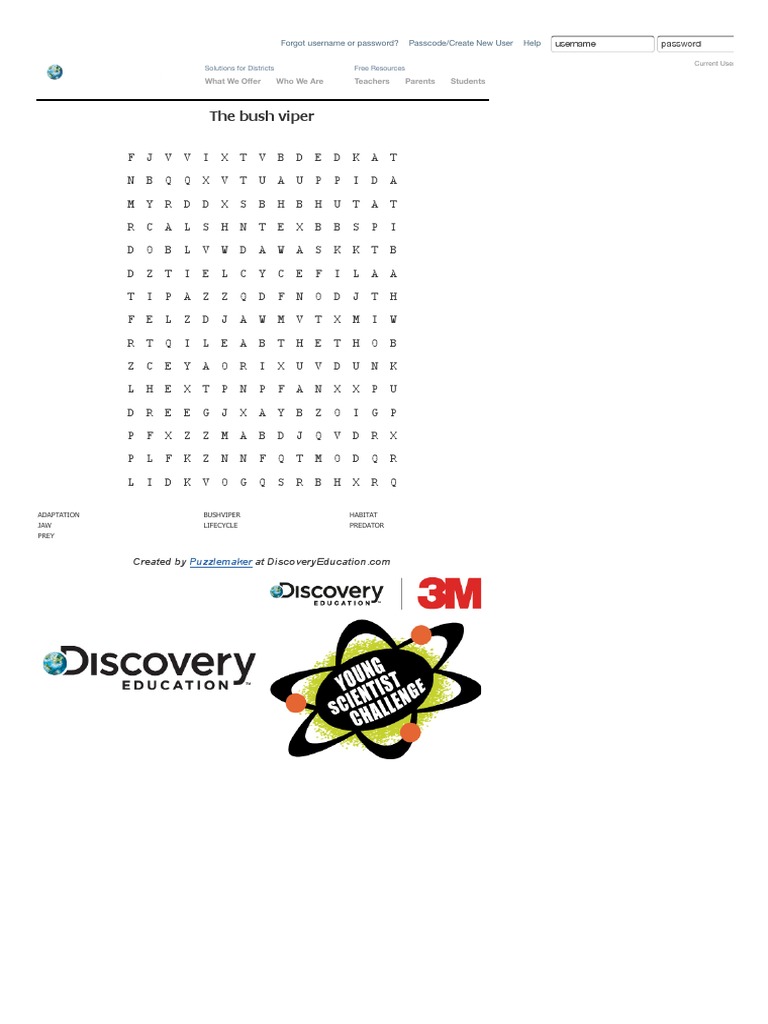 Word Search Puzzle | PDF