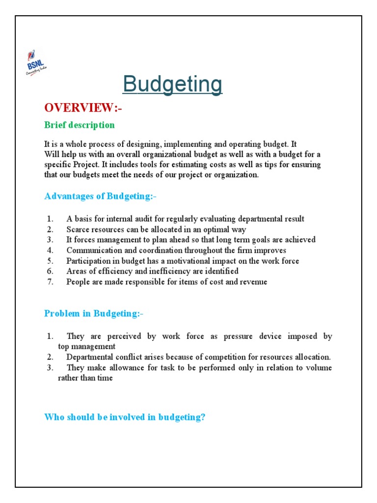Effective Budgeting Strategies Explained | PDF | Budget | Taxes