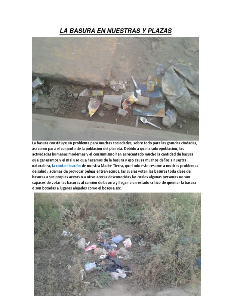Problemas de basura en ciudades modernas | PDF | Residuos | Contaminación