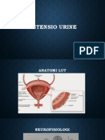 RETENSI URIN DAN PENYEBABNYA