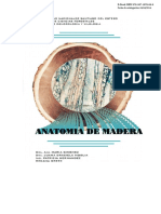 Anatomía de la madera: estructura y características