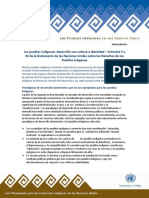 Desarrollo Con Cultura e Identidad PDF