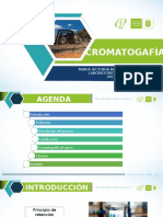 Cromatografía de gases: Separación y cálculos