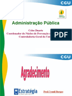 13-ADMINISTRAÇÃO PÚBLICA - CELSO DUARTE.pdf