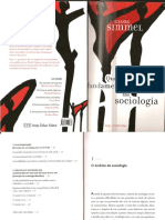 Simmel Questoes Fundamentais Da Sociologia PDF