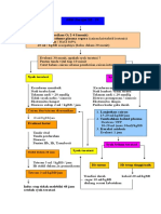 Dengue Syok Syndrome1