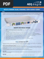 Eagle: Multi-Format Dual-Channel Isdn Audio Codec