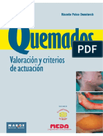 Quemados-Valoracion-y-criterios-de-actuacion-pdf.pdf