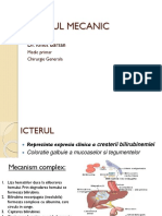 CURS 10-Icterul Mecanic