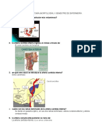 Taller de Anatomía. II Sem. Enferm.2017-2