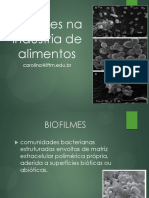 Aula Biofilmes PDF