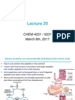 SP17 Lecture 20 - S