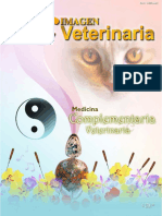 Veterinaria Acupuntura PDF