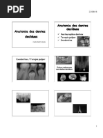 ANATOMIA DENTES DECIDUOS.pdf
