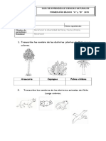 Transcribe Los Nombre de Las Distintas Plantas de Chile. Luego Colorea