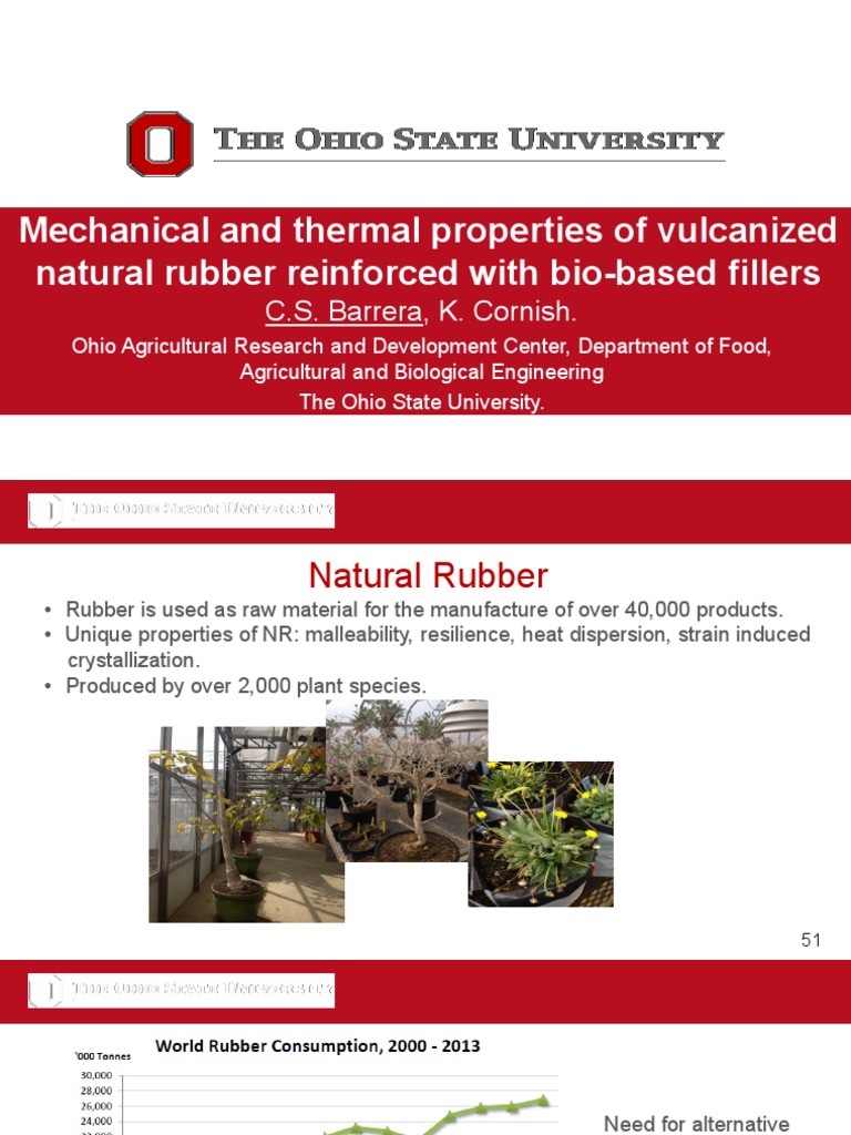 Bio-Fillers Enhance Rubber Properties | PDF | Strength Of Materials ...