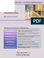 Estructura Organizacional PDF