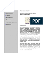 10 Morfología y Tinción PDF