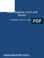Gram Negative Cocci and Bacilli 1