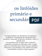 Órgãos Linfóides Primário e Secundário 2017