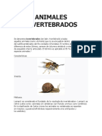 Animales Invertebrados