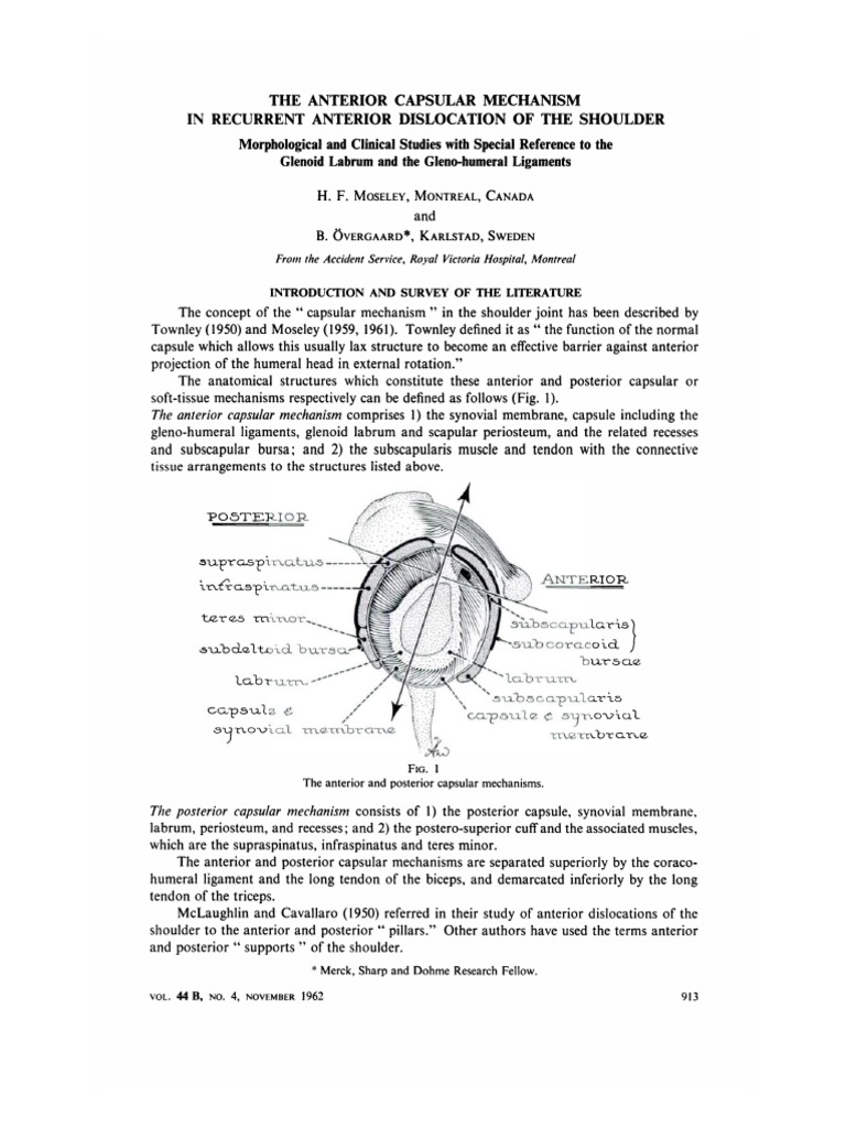 913 Full PDF | PDF | Shoulder | Anatomical Terms Of Motion