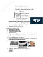 Clase02 PDF