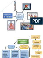 Infografia y Necesidades Humanas