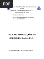 Relatório 5- Molas Associações em série e em paralelo.docx