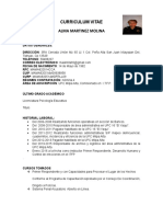 Curriculum Vitae Alma Martinez (1) (1)